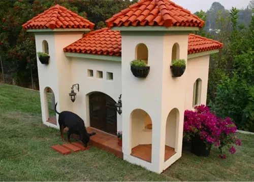 DogHacienda.webp